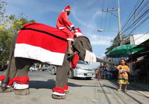 An elephant dressed as Santa Claus