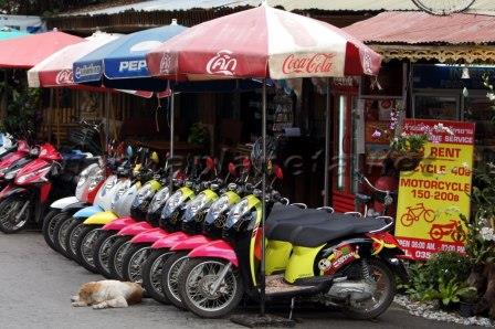 Location de motos à Ayutthaya